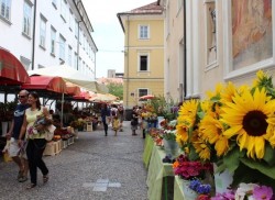 Добро пожаловать в столицу Словении - Любляну!
